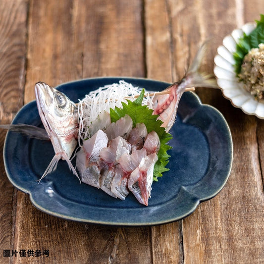 Maaji マアジ 真鯵(原條0.2kg)