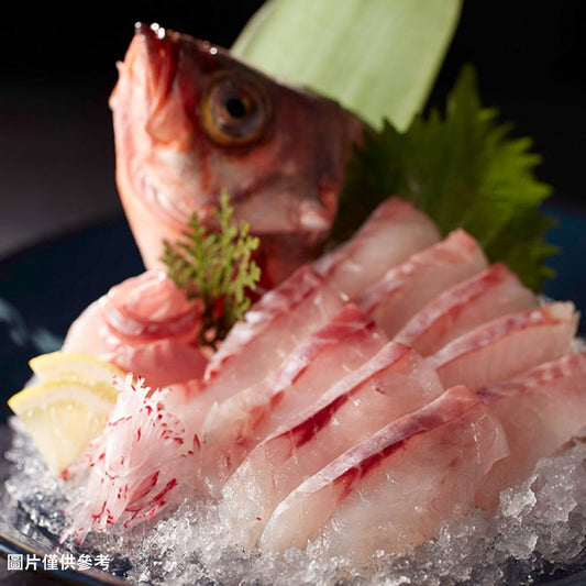 Mebaru メバル 目張(原條0.4kg)