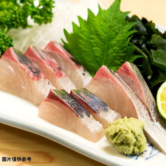 Shimaajiシマアジ島鯵(大)(原條3.0~4kg)