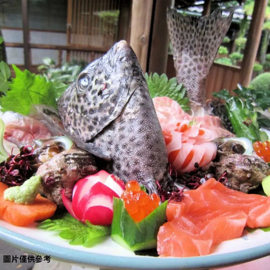 Ishigakidai 石垣鯛(原條3.0~4kg)