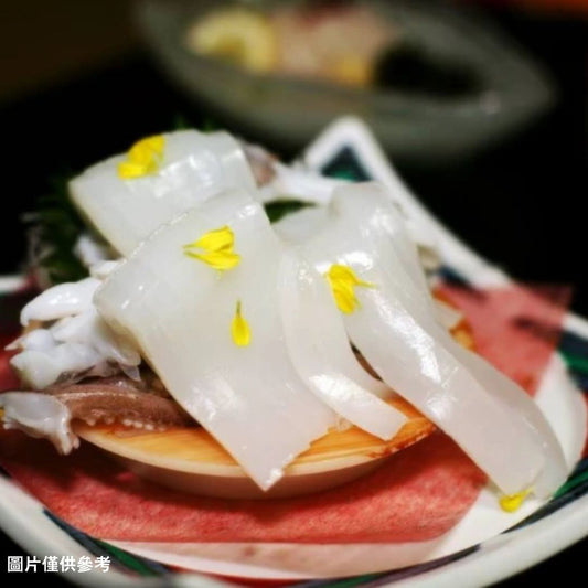 Aoriika アオリイカ大尾魷魚