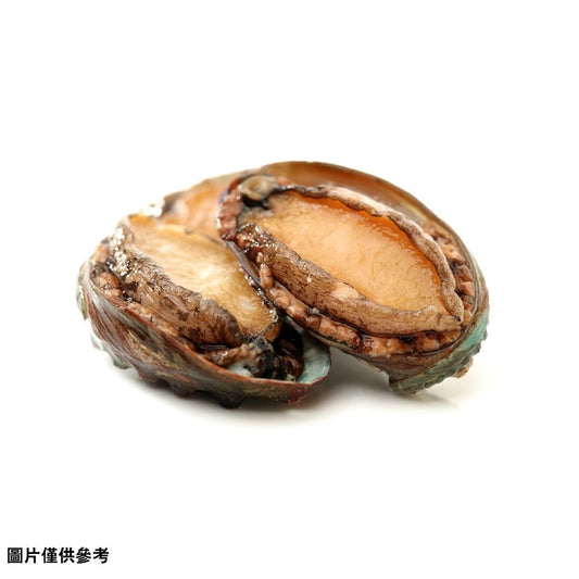 Awabi (アワビ)鮑魚