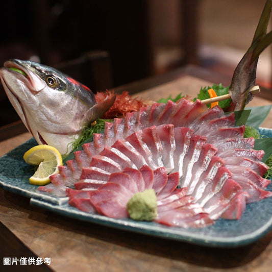 Hamachi Buri油甘魚(原條10.0kg)