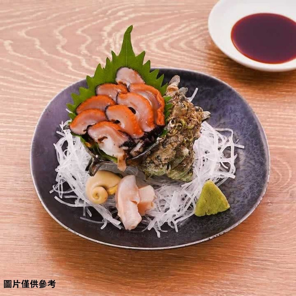 Sazae(サザエ)栄螺 – Numazu Suisan 沼津水產